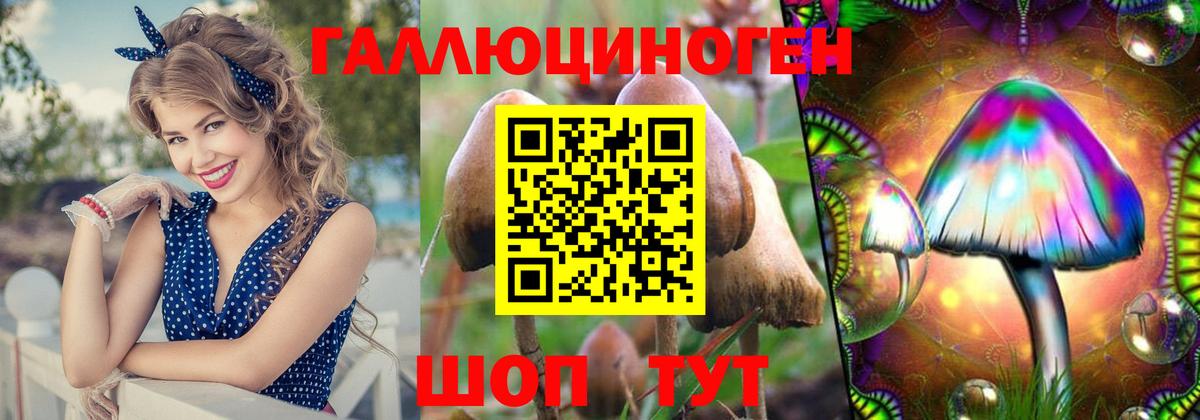 Зерноград  Псилоцибиновые грибы MAGIC MUSHROOMS  Вход с VPN 